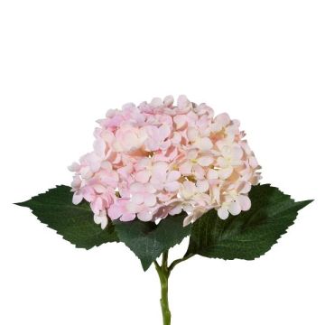 Fleur décorative Hortensia ZURTO, rose clair, 55cm Fleur décorative Hortensia ZURTO, rose clair, 55cm
