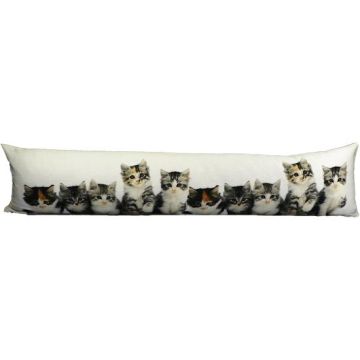 Pare-vent décoratif WEIDER avec motif chaton, multicolore et blanc, 90 x 20 x 10 cm Pare-vent décoratif WEIDER avec motif chaton, multicolore et blanc, 90 x 20 x 10 cm