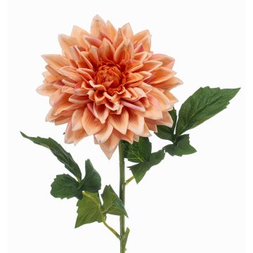 Fleur synthétique dahlia ZELRAN, abricot, 70cm, Ø15cm Fleur synthétique dahlia ZELRAN, abricot, 70cm, Ø15cm