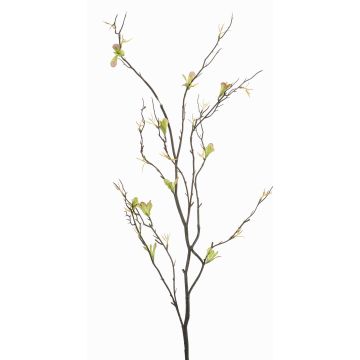 Rameau décoratif de bouleau ZUNLER, verte, 90cm Rameau décoratif de bouleau ZUNLER, verte, 90cm