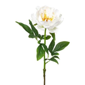 Fleur en plastique Pivoine PEFIN, blanc, 50cm Fleur en plastique Pivoine PEFIN, blanc, 50cm
