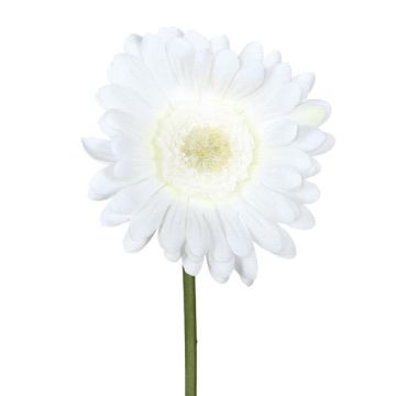 Fleur décorative Gerbera TUNZA, blanc, 50cm
