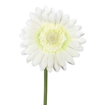 Fleur décorative Gerbera TUNZA, crème, 50cm