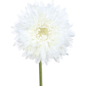 Fleur décorative Gerbera MOLZA, blanc, 60cm