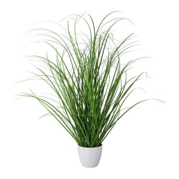 Herbe décorative Pennisetum KIVRA en pot décoratif, vert, 50cm