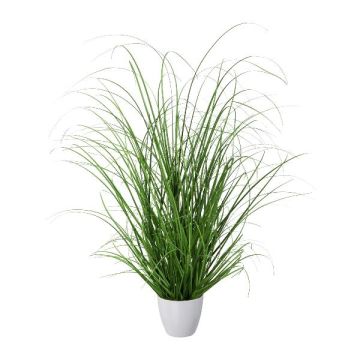 Herbe décorative Pennisetum KIVRA en pot décoratif, vert, 60cm