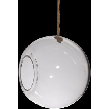 Terrarium boule en verre FARO avec cordon, transparent, 25cm, Ø25cm Terrarium boule en verre FARO avec cordon, transparent, 25cm, Ø25cm