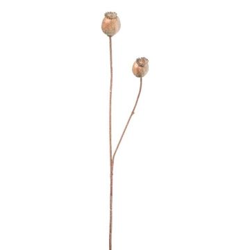 Branche artificielle Capsules de pavot ORIONLA, brun clair, 65cm Branche artificielle Capsules de pavot ORIONLA, brun clair, 65cm