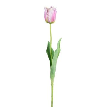 Fleur décorative Tulipe perroquet SOLAL, rose, 65cm