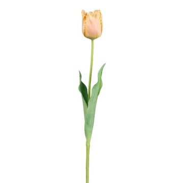 Fleur décorative Tulipe perroquet SOLAL, abricot, 65cm