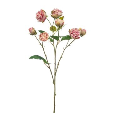 Branche synthétique de rose chou TRUVOL, rose-crème, 65cm, Ø2-6cm Branche synthétique de rose chou TRUVOL, rose-crème, 65cm, Ø2-6cm