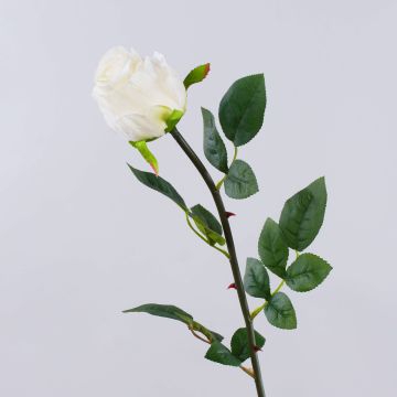 Rose artificielle SUNJIK, crème, 75 cm, Ø 7 cm Rose artificielle SUNJIK, crème, 75 cm, Ø 7 cm