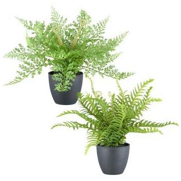 Mélange de fougères synthétiques REFIL, fougère épée, fougère chevelue, 2 pièces, pot décoratif, vert, 30cm, Ø35cm
