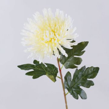 Chrysanthème synthétique HIKJON, crème-blanc, 75cm, Ø18cm Chrysanthème synthétique HIKJON, crème-blanc, 75cm, Ø18cm