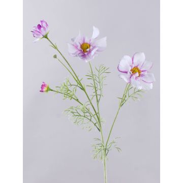 Branche décorative de cosmos HIKJAN, blanc-violet, 80 cm
