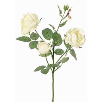 Branche de rose synthétique DIAMANTIS, crème, 70cm, Ø5-8cm