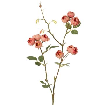 Fausse branche de rose-chou LORRAINE, collection écologique, vieux rose, 60cm, Ø3cm Fausse branche de rose-chou LORRAINE, collection écologique, vieux rose, 60cm, Ø3cm