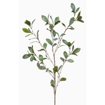 Branche d'eucalyptus artificielle MERKAN, vert-gris, 90cm