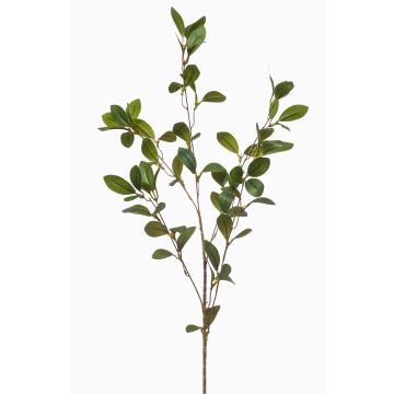 Rameau décoratif de houx LOVRIS avec fleurs, vert-jaune, 90cm
