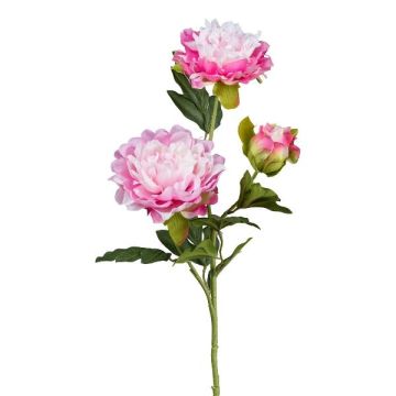 Branche artificielle Pivoine SLORMEK, rose-blanc, 65cm