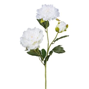 Branche artificielle Pivoine SLORMEK, blanc, 65cm Branche artificielle Pivoine SLORMEK, blanc, 65cm