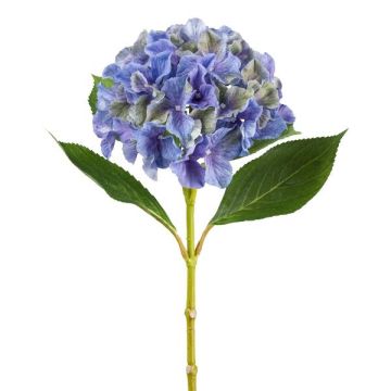 Fleur décorative Hortensia FUSTRAL, bleu-vert, 65cm, Ø18cm Fleur décorative Hortensia FUSTRAL, bleu-vert, 65cm, Ø18cm