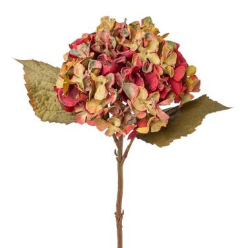 Fleur décorative Hortensia TESSENCE, vert-rouge, 45cm Fleur décorative Hortensia TESSENCE, vert-rouge, 45cm