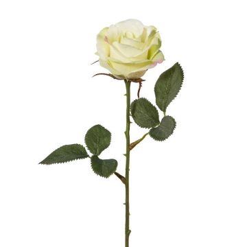 Fleur artificielle Rose CESOPY, crème-vert, 35cm, Ø6,5cm Fleur artificielle Rose CESOPY, crème-vert, 35cm, Ø6,5cm