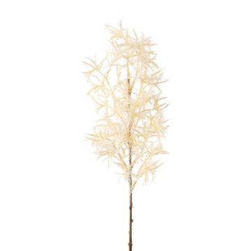 Branche décorative Cotinus coggygria SLANDE avec des fleurs, crème, 45cm