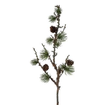 Branche décorative Pin parasol BLUTON avec des pommes de pin, lichens, vert, 55cm
