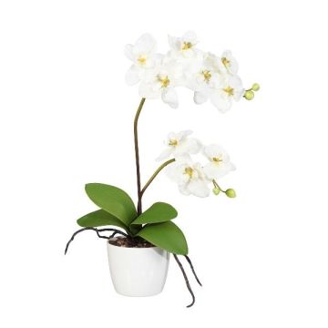 Orchidée Phalaenopsis en tissu MORLEK, pot en céramique, racines, crème, 60cm Orchidée Phalaenopsis en tissu MORLEK, pot en céramique, racines, crème, 60cm