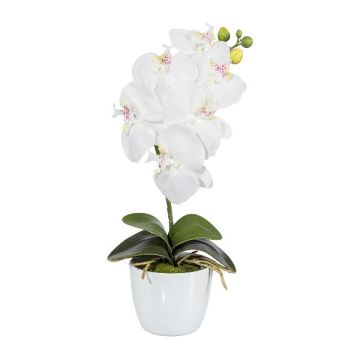 Orchidée Phalaenopsis en tissu DRINTOR, pot en céramique, racines, blanc, 40cm Orchidée Phalaenopsis en tissu DRINTOR, pot en céramique, racines, blanc, 40cm
