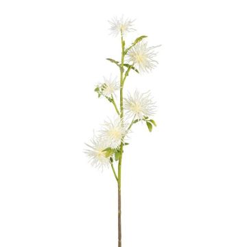 Branche décorative Chardon boule ZORLIM, blanc, 55cm Branche décorative Chardon boule ZORLIM, blanc, 55cm