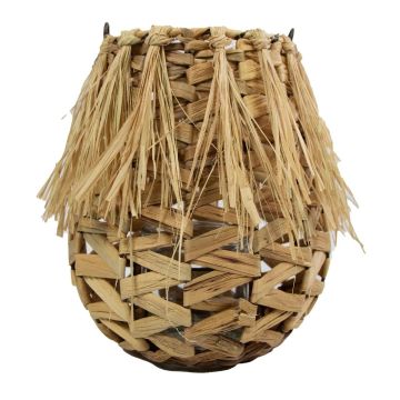 Lanterne en fibres naturelles NATASCIA, jonc d'eau, poignée, insert en verre, marron, 27 cm, Ø 17 cm Lanterne en fibres naturelles NATASCIA, jonc d'eau, poignée, insert en verre, marron, 27 cm, Ø 17 cm