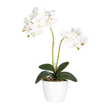 Orchidée Phalaenopsis en tissu FRUXO, pot en céramique, racines, blanc, 50cm Orchidée Phalaenopsis en tissu FRUXO, pot en céramique, racines, blanc, 50cm