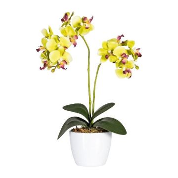 Orchidée Phalaenopsis en tissu FRUXO, pot en céramique, racines, vert, 50cm