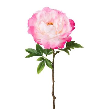 Fleur en plastique Pivoine GLOUT, rose, 65cm