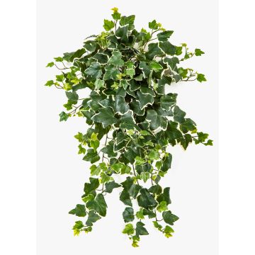 Liane de lierre artificielle LINNEO sur tige, crossdoor, vert-blanc, 65 cm Liane de lierre artificielle LINNEO sur tige, crossdoor, vert-blanc, 65 cm