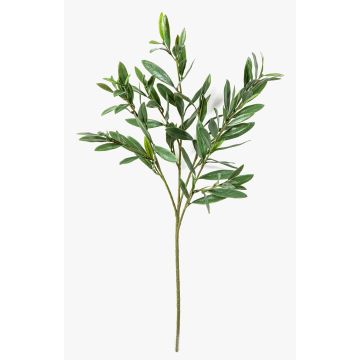 Branche d'olivier synthétique BRANDAR, crossdoor, verte, 70cm Branche d'olivier synthétique BRANDAR, crossdoor, verte, 70cm