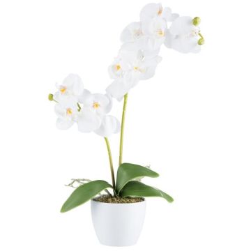 Orchidée Phalaenopsis en tissu KRUZBER, pot en céramique, racines, blanc, 55cm