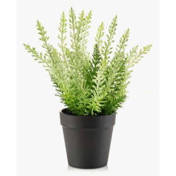 Bruyère artificielle ELSAWO dans un pot décoratif, Crossdoor, blanc-vert, 30cm