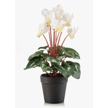 Cyclamen synthétique VERIANA dans un pot décoratif, blanc-vert, 30cm
