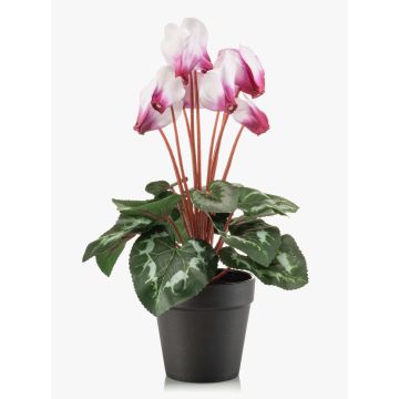 Cyclamen synthétiques VERIANA dans un pot décoratif, blanc-fuchsia, 30cm