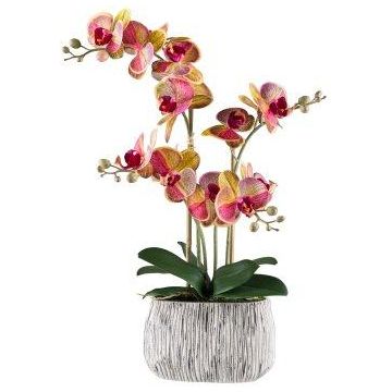 Orchidée Phalaenopsis en tissu BLORVEN, coupe en ciment, racines, jaune-rose fuchsia, 55cm