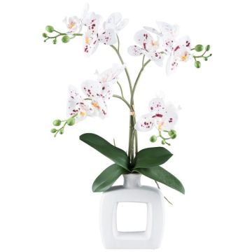 Orchidée Phalaenopsis en tissu DRUKLON, vase en céramique, racines, blanc-rouge, 40cm