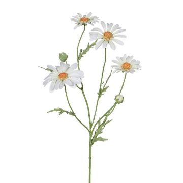 Branche artificielle Marguerite CLUVE, blanc, 60cm