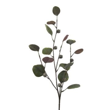 Branche décorative d'eucalyptus TRAVON avec des fruits, vert, 75cm