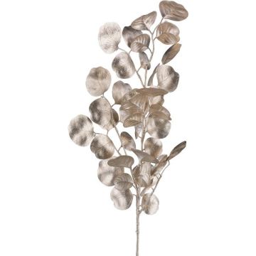 Branche décorative Eucalyptus DRAVEL, champagne, 75cm