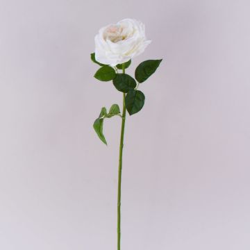 Rose artificielle GINAKAL, blanc crème, 65 cm Rose artificielle GINAKAL, blanc crème, 65 cm