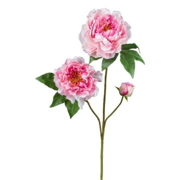 Branche artificielle Pivoine BROLI, rose, 80cm